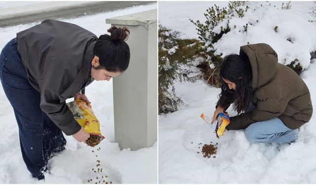 Çocuklardan Sokak Hayvanlarına Anlamlı Destek!