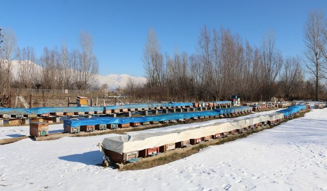 Erzincan Arıcılıkta Doğu Anadolu’nun Öncüsü