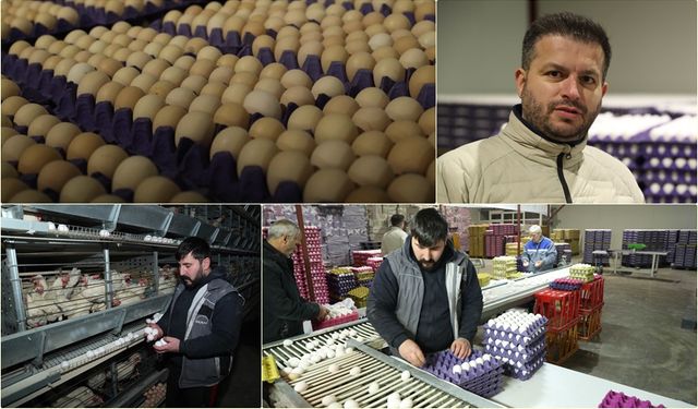 Erzincan’dan Bölgeye AB Standartlarında Yumurta
