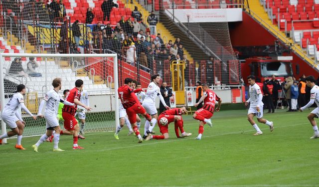 Erzincanspor Evinde Puan Kaybetti