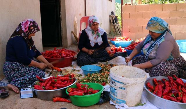 Ev Mutfağından Ekonomiye Uzanan Güç: Ev Yapımı Gıdalar Tüketici Davranışını Nasıl Değiştiriyor?