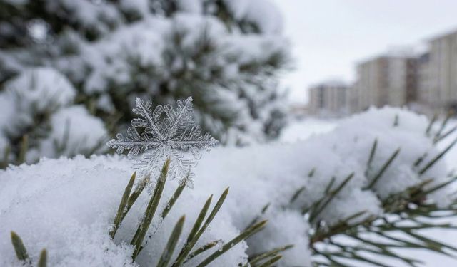 Erzincan Hafta Sonuna Kar Yağışıyla Giriyor