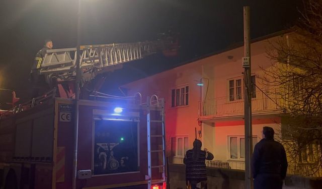 Erzincan'da Çatıda Mahsur Kalan Kediye İtfaiye Müdahalesi (VİDEO)