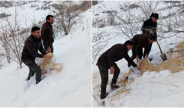 Kemah'ta Yaban Hayatına Destek (VİDEO)