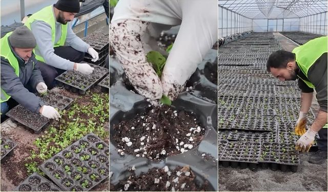 Erzincan Bahara Renkleniyor