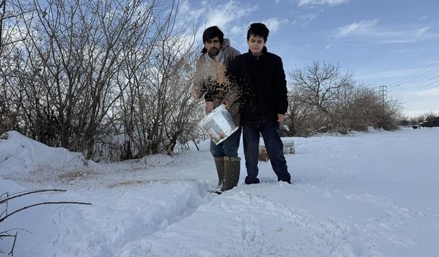 Erzincan’da Duyarlı Çiftçi Kışın Yabani Kuşları Yalnız Bırakmıyor