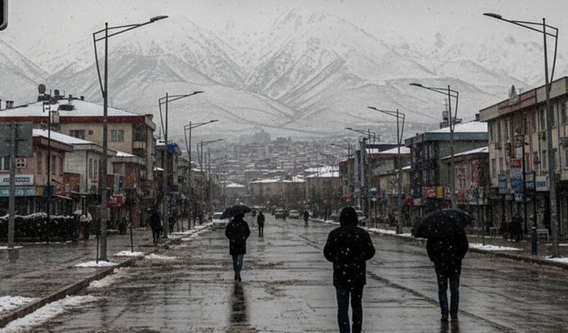 Erzincan'da Kış Güneşi Yerini Yağışa Bırakıyor