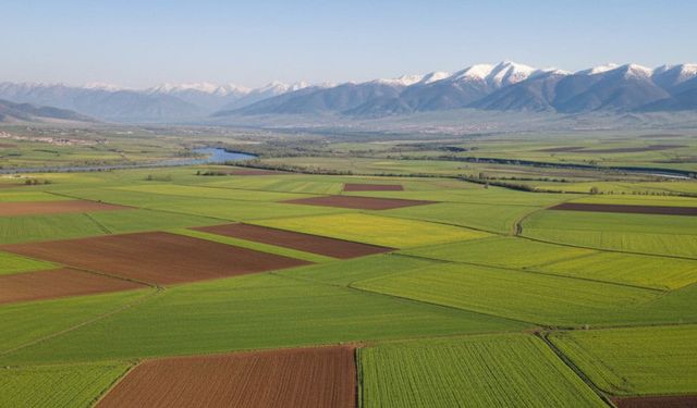 Hisseli Tarlada Paylaşım Kuralı Değişti