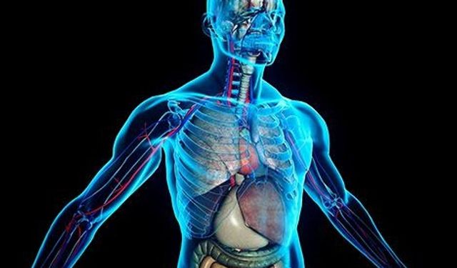 BİLİM VE TEKNOLOJİ