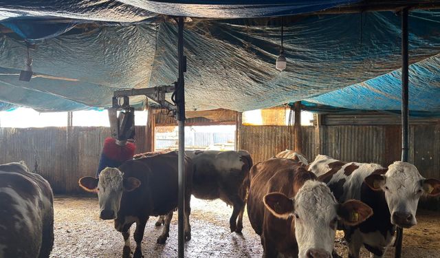 Kemah’ta Dayanışma Üretimi Ayağa Kaldırdı