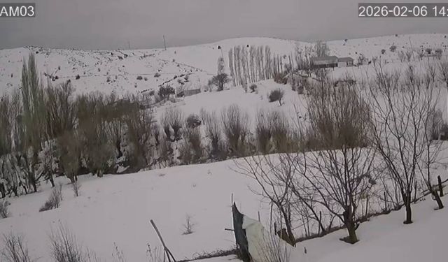 Kemah Hakbilir Köyü'nde Deprem Anı Güvenlik Kamerasında! (VİDEO)