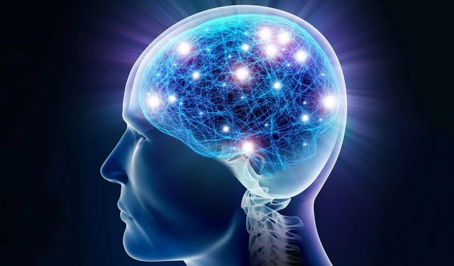 Kötü Ağız Sağlığı Beyin Hacmini Hızlandırıyor: Yeni Araştırma Uyarıyor