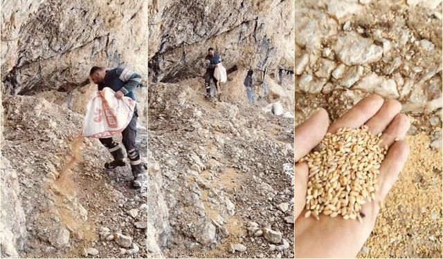 Köy Muhtarından Yaban Hayvanları İçin Örnek Davranış