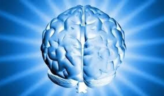 Şükretmek Beyni Yeniden Programlıyor mu? Minnettarlığın Nörobilimsel Etkileri