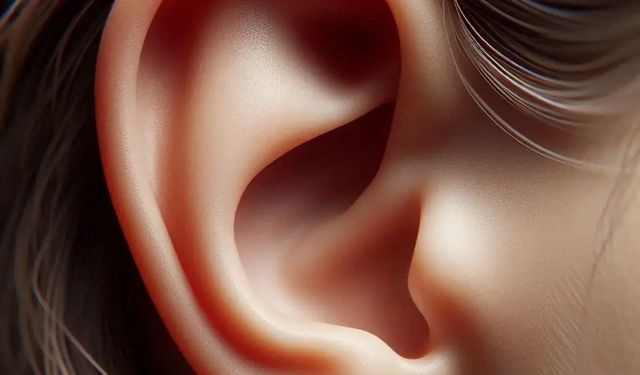 Yolculukta Kulak Tıkanmasının Nedeni: Östaki Borusu Nasıl Çalışır?