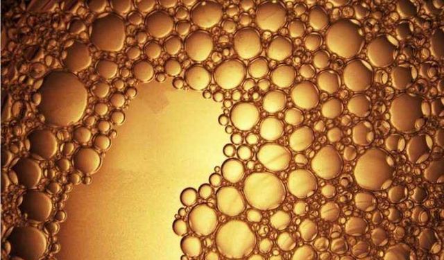 Zehir mi Şifa mı? Bir Bitkiden Doğan Nano Dünyanın Sınırları