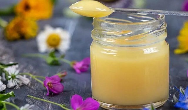 Arı Sütü Alzheimer’ın Ateşini Söndürebilir mi?