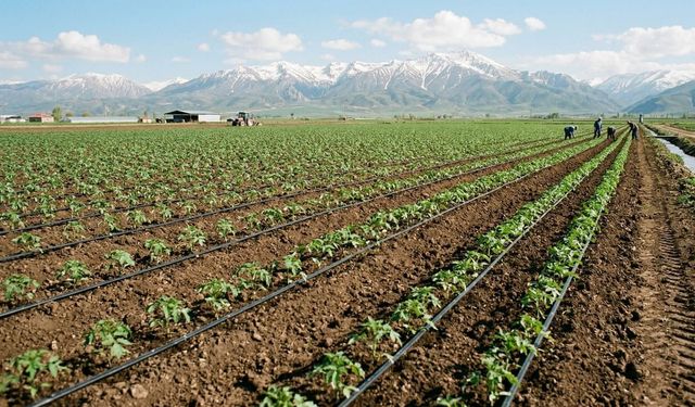 Erzincan’da Çiftçilere Başvuru Müjdesi