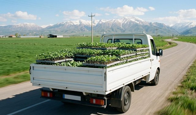 Üretim yapan çiftçiler için zorunlu, başvurmayana ceza var!