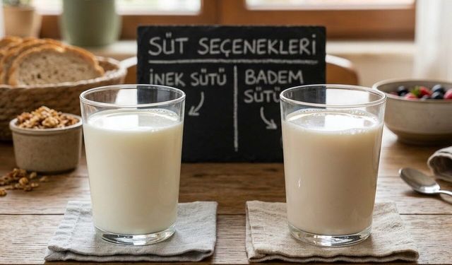 Kahve Formülasyonunda Bitkisel Süt Kullanımının Duyusal ve Kimyasal Açıdan Değerlendirilmesi