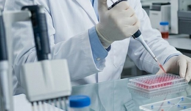 BİLİM VE TEKNOLOJİ