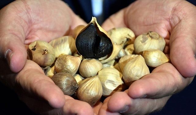 Mutfaktaki "Şifa" Zehre mi Dönüşüyor?