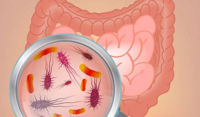 Probiyotik Ürünlerdeki 'Canlılık' İllüzyonu mu?