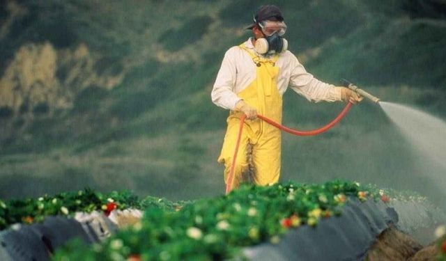 Toprağın Görünmeyen Tehdidi: Ağır Metaller ve Bitkisel Üretim