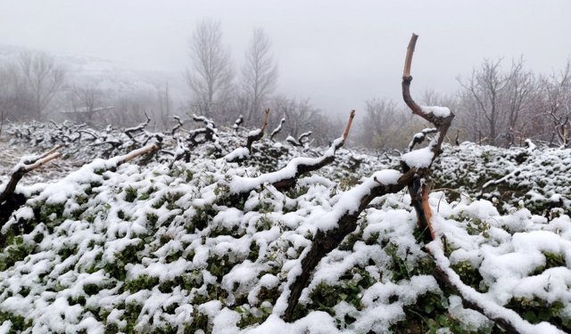 Beyaz Sürpriz: Bağlar Kar Altında