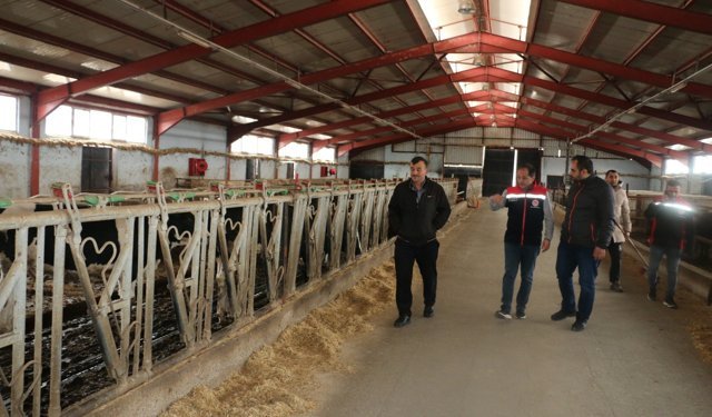 Erzincan’da Besicilikte Yatırımın Artması Bekleniyor