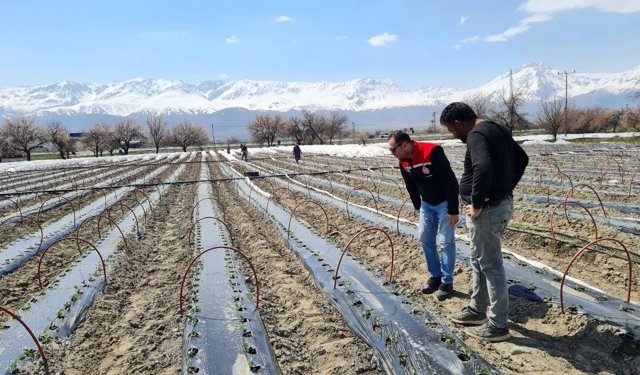 Çevre illerin gıda tedarikçisi Erzincan
