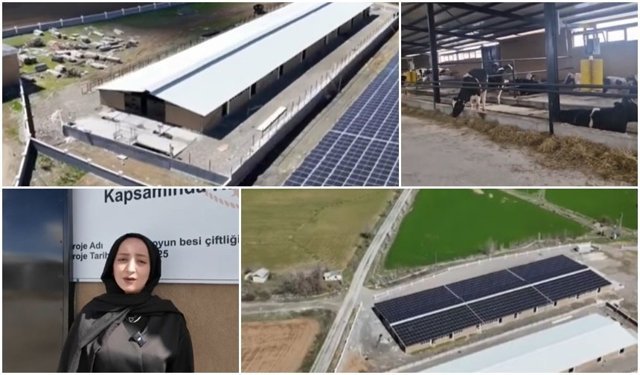 Erzincan’da Modern Hayvancılığa Kadın Dokunuşu (VİDEO)