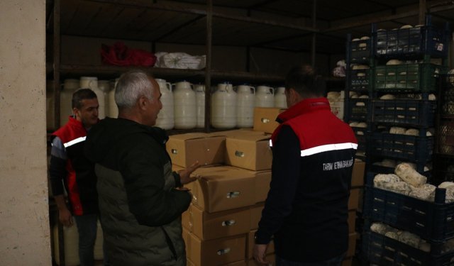 Erzincan’da Tulum Peyniri Üretimi Yakından İzleniyor