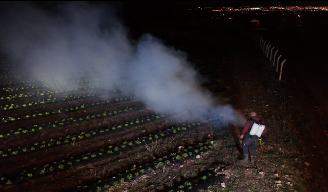 Don Tehlikesine Karşı Gece Mesaisi: Erzincanlı Çiftçiler Ürünlerini Dumanla Koruyor (VİDEO)