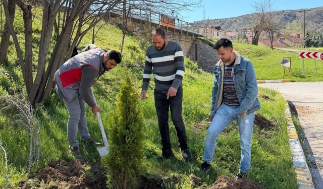 Kemah’ta Yeşil Dokunuş: İlçe Girişine Ağaçlandırma Çalışması
