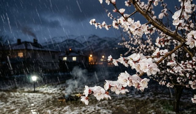 Kar yağmaya başladı bile: Erzincan'da zirai don alarmı!