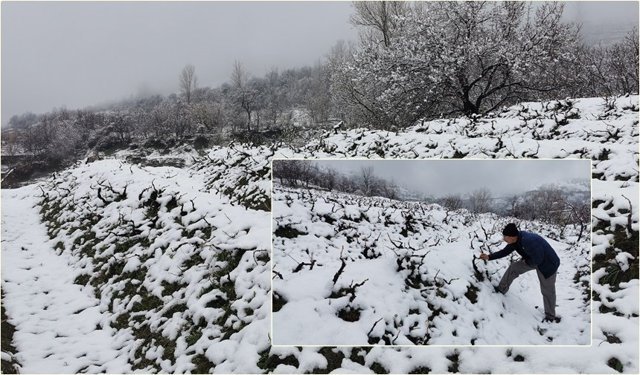 Nisan Şakası Değil, Nisan Karı: Üzümlü Beyaza Büründü!