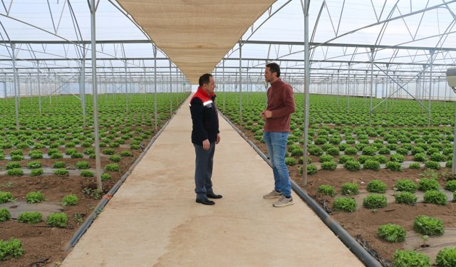 Erzincan’da Seracılıkta Yeni Model: Aynı Serada Çifte Üretim