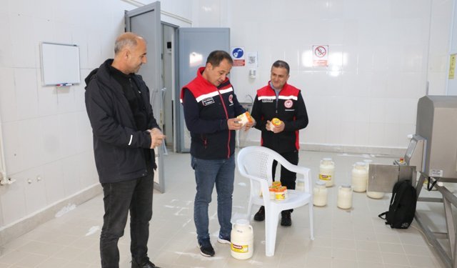 Erzincan Tulum Peyniri İçin Sahada İnceleme