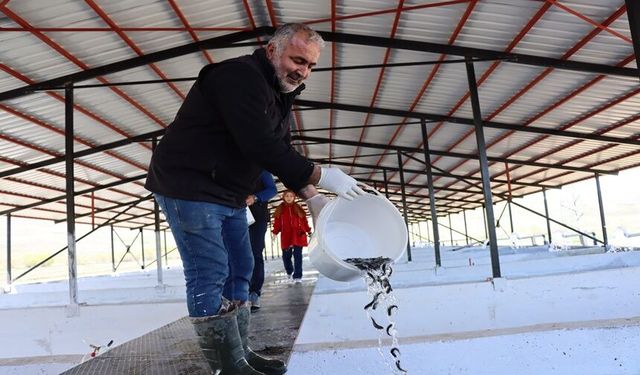 Ege’den Erzincan’a Uzanan Alabalık Yatırımı(VİDEO)