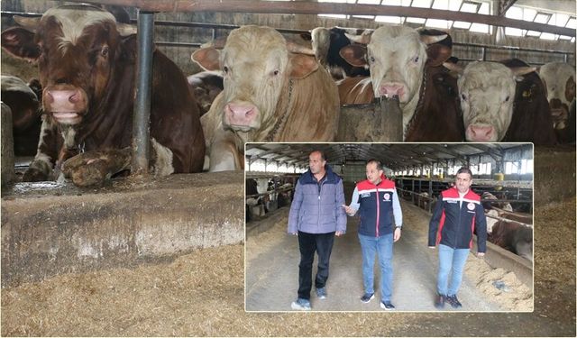 "Et Bölgesi" İlanı Yatırımları Şahlandırdı
