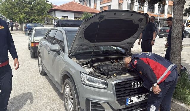 Anne Kedi Gelince Saklandığı Yerden Çıktı (VİDEO)