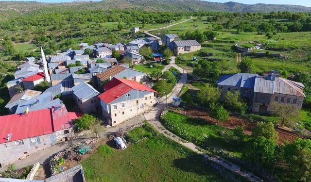 Kırsal Miras Yok Oluyor: Akçalı Köyü Sessiz Bir Çöküşle Yüz Yüze