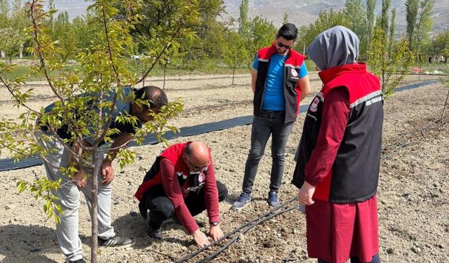 Üzümlü’de Yeni Üretim Modeli