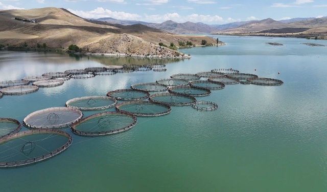 Yağışlar Baraj ve Göletleri Doldurdu: Tercan’da Yüzde 100 Doluluk Sevinci
