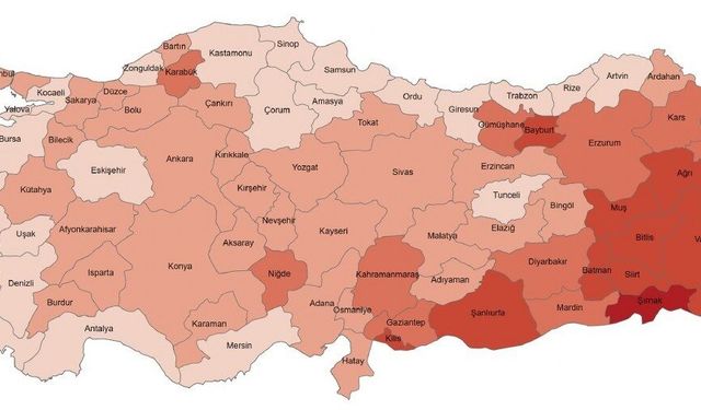 Türkiye'nin Gençlik Portresi: 12,7 Milyon Genç, Dünya Ortalamasının Altında!