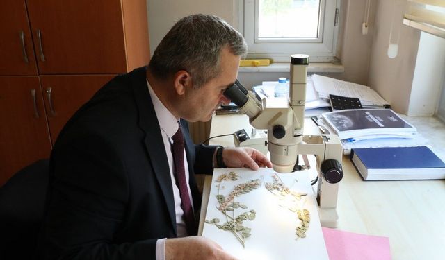 62 Ciltlik Devrim! Anadolu’nun 12 Bin Bitkisi Artık Kendi Dilinde Konuşacak