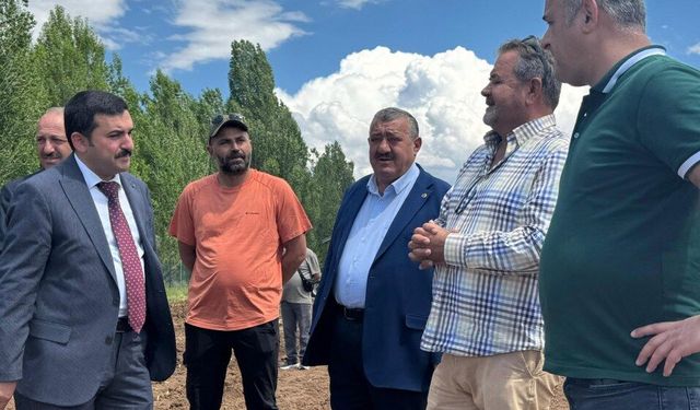 Afrika Kökenli Fil Otu Denemeleri Başladı