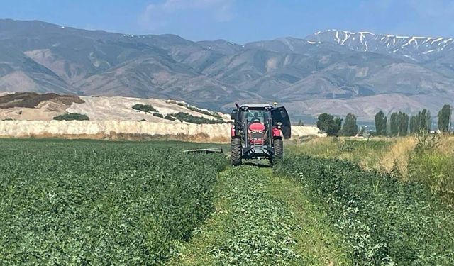 Belediyenin 72 Dönümlük Yonca Tarlasında Hasat Mesaisi Başladı