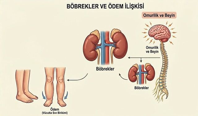 Sinir ve Kalbi Etkileyen Hastalık: Beriberi